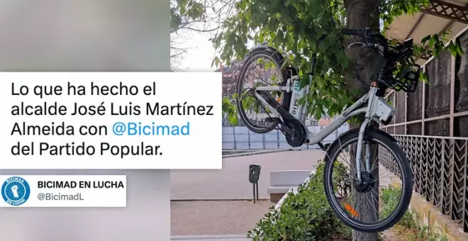 Una bici colgada de un árbol como metáfora de lo que ha hecho Almeida con BiciMad: "El nuevo símbolo para sustituir al Oso y el Madroño"