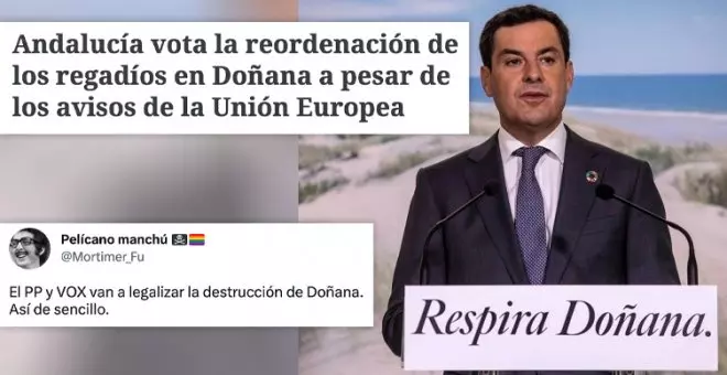 "El PP y VOX van a legalizar la destrucción de Doñana. Así de sencillo": indignación por la votación que puede decidir el futuro del Parque Nacional