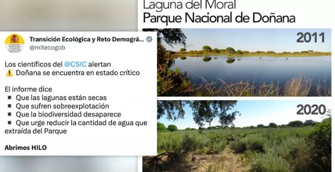 El hilo para llorar del Ministerio de Transición Ecológica sobre el estado de Doñana, mientras PP y Vox intentan ampliar los regadíos