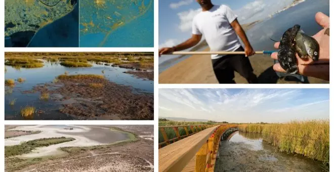 Los otros Doñana: historias de expolio de agua y vertidos