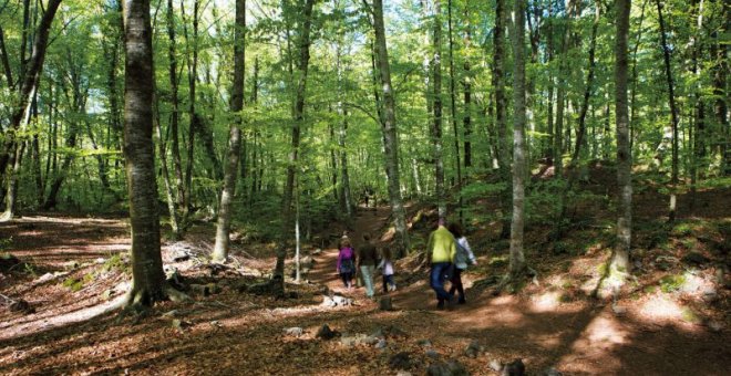 Set propostes per descobrir la terra volcànica de la Garrotxa