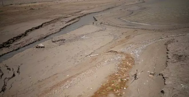 La llegada del fenómeno climatológico El Niño aumentará "las probabilidades de batir récords de temperatura"