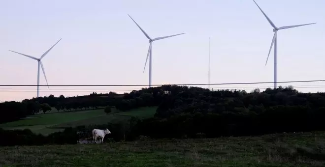 La Fiscalía investiga la desmesurada mortandad de aves rapaces y carroñeras en parques eólicos