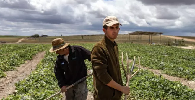 España se seca: de Las Tablas de Daimiel a Doñana