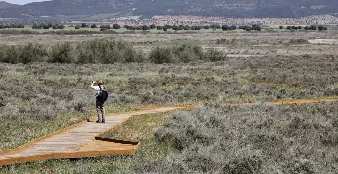 Las Tablas de Daimiel entran en la UCI y sólo un 5% de su superficie tiene agua