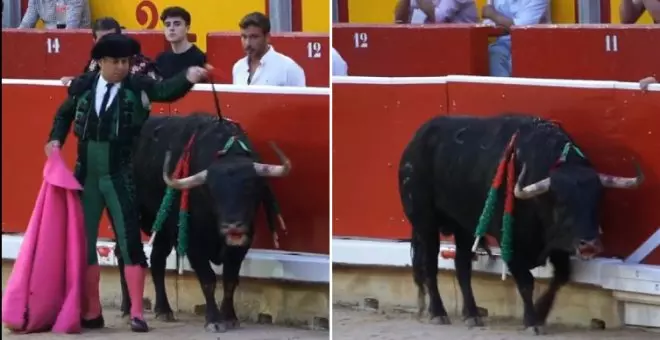 La cruel muerte de un toro en San Fermín reaviva las críticas a la tauromaquia: "Esto es una barbarie"