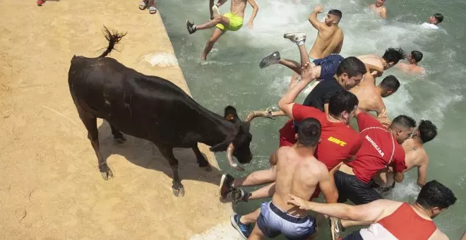 Muere ahogado un toro en los 'bous a la mar' de Dénia (Alacant)