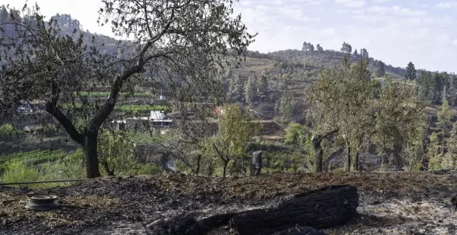 Estabilizado el incendio de La Palma tras calcinar 2.900 hectáreas