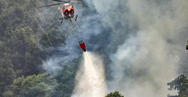 En España se han quemado 65.000 hectáreas hasta mediados de agosto