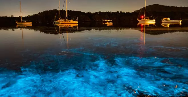 ¿Sabes qué es una playa bioluminiscente? Recorremos algunas