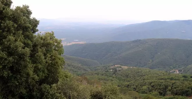 La extrema sequía provoca estragos en la fauna salvaje y los bosques de Catalunya