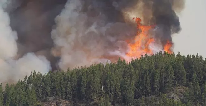 Otras miradas - El desastre de la planificación forestal, tras 8,6 millones de hectáreas quemadas desde 1961