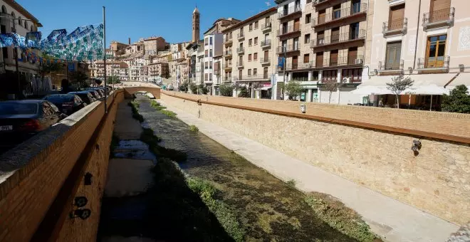 Un protozoo de origen ganadero contamina un río y deja sin agua del grifo a más de 10.000 vecinos en el Moncayo