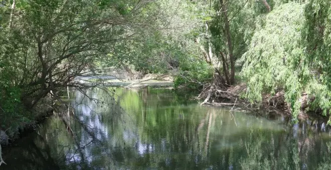 Rebuig dels ecologistes a la reducció dels cabals ecològics del Llobregat, el Ter i la Muga