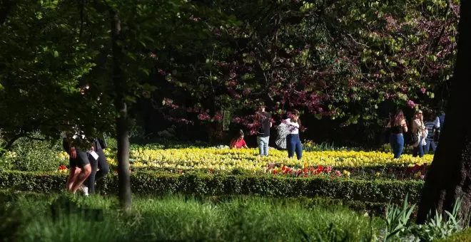 Una primavera en pleno enero: la Aemet anuncia una subida de temperaturas