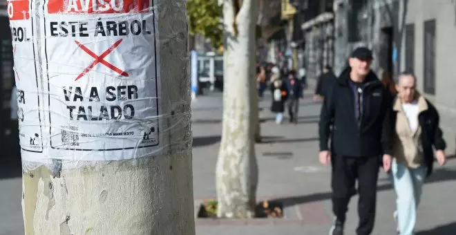 Óscar Puente anuncia que sólo se talará un árbol por las obras de Adif en la estación de Atocha y deja sin argumentos a Ayuso