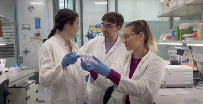 Investigadors catalans identifiquen un nou fàrmac que pot superar la resistència a degradadors de proteïnes