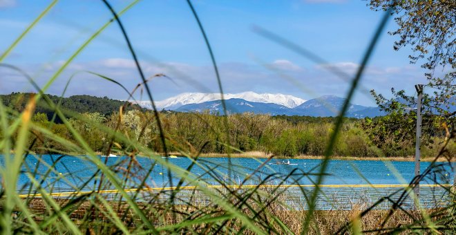 Sis propostes per descobrir la natura i el patrimoni del Pla de l'Estany