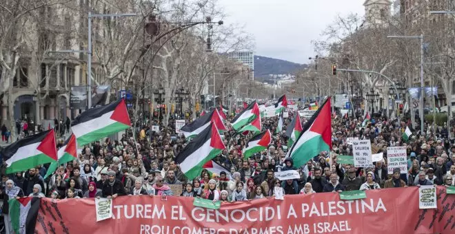 Dominio Público - La universidad española ante el genocidio palestino