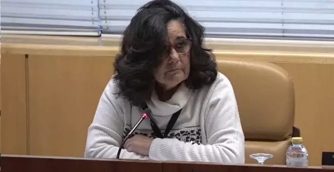 Marea de Residencias defiende en la Asamblea de Madrid que "no hubieran muerto igual"