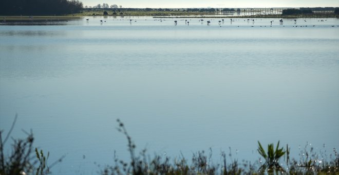 Teresa Ribera ya ha precintado de forma preventiva 43 pozos ilegales en Doñana