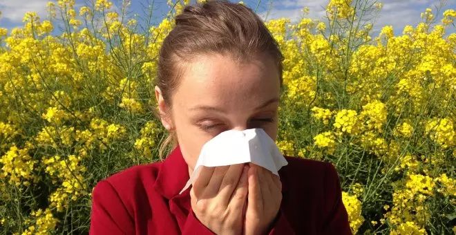 Esta primavera las alergias durarán más tiempo y se dispararán las enfermedades respiratorias y el asma