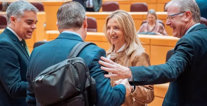 El PP lleva al Senado a un choque inédito con el Congreso por la amnistía sin aclarar si lo elevará al Constitucional