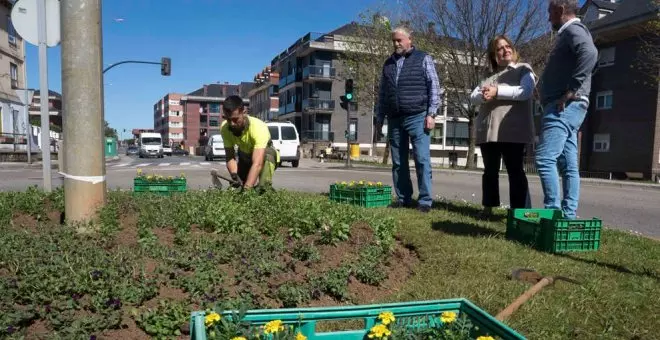 Comienza la plantación de 3.000 flores de temporada en los espacios públicos del centro urbano