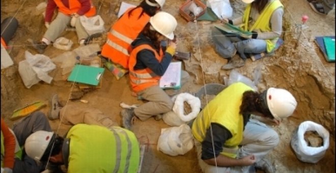 Fósiles de 14 millones de años, en el metro de Madrid