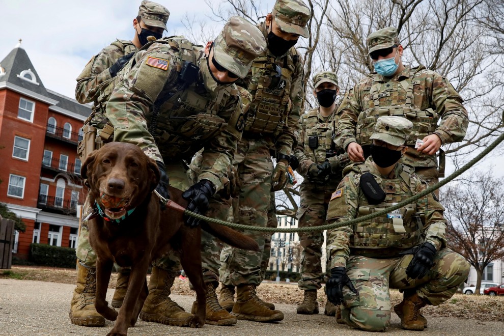 Miembros de la Guardia Nacional saludan a un perro mientras pasan tiempo en Lincoln Park en Washington.