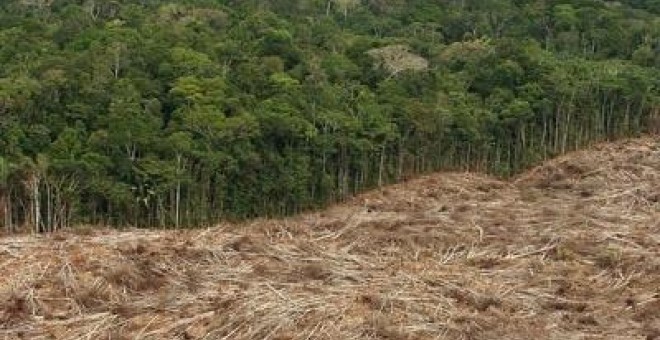 Fotografía de archivo sin fechar en la que se observa la deforestación de la selva amazónica en Brasil, donde se han perdido 1.123 kilómetros cuadrados de este importante territorio entre enero y abril de 2008 por el efecto de la deforestación. EFE