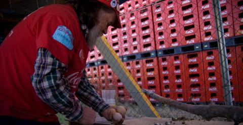 Uno de los trabajadores acampados recoge los huevos del gallinero que han instalado junto a la planta de Coca-Cola en Fuenlabrada, que lleva un año cerrada. -JAIRO VARGAS