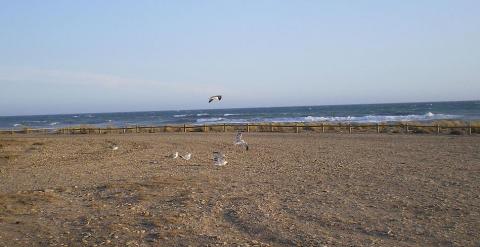 Vista de la playa almeriense de Torregarcía, en el Cabo de Gata. WIKIPEDIA