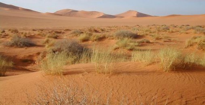 El clima español se asemejará al del norte de África según el informe Cambio climático en Europa 1950-2050. Percepción e impactos. / Wikipedia