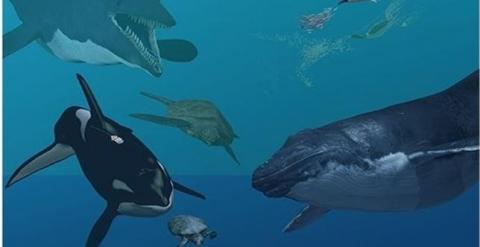¿Cómo especies terrestres acabaron viviendo en el mar?. /KAREN CARR/NMNH