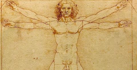 El famoso hombre de Vitruvio, dibujado por Leonardo da Vinci, es la imagen del canon de las proporciones de los humanos