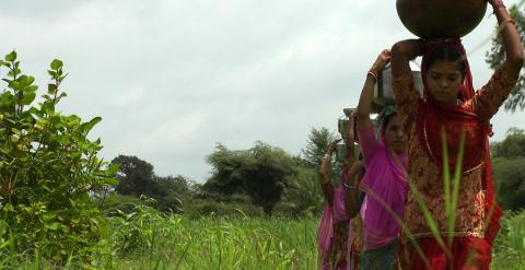 Fotograma del documental 'La mujer y el agua', ganador del Green Film Netvork Award 2015.