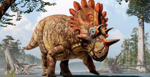 Recreación artística del 'Regaliceratops peterhewsi'.- Julius T. Csotonyi/Royal Tyrrell Museum