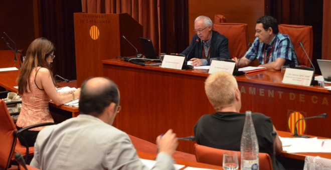 Imagen de la comparecencia de Sare (red ciudadana vasca contra la dispersión) en el Parlament.