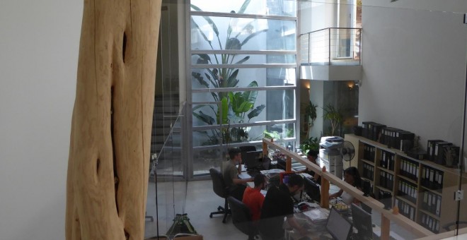 La oficina de coworking donde desarrolla su actividad la empresa Ecooo. Bordeando la palmera que caracteriza este espacio, se encuentra la escalera que da acceso a la terraza. JC
