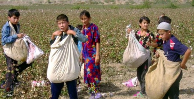Niños recolectan algodón en régimen de esclavitud en Uzbekistán. Archivo