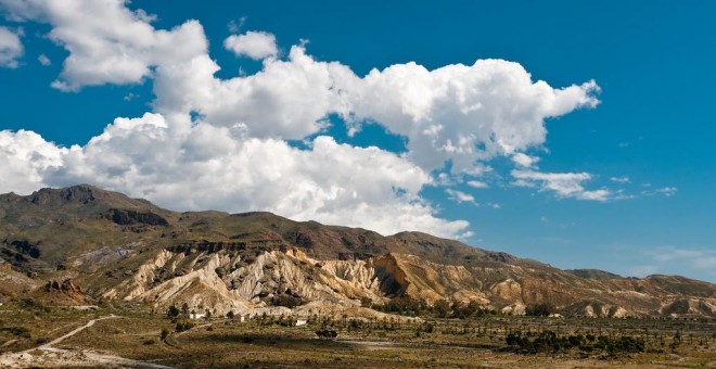 Paraje El Chorrillo', en Sierra Alhamilla, en la localidad almeriense de Pechina.