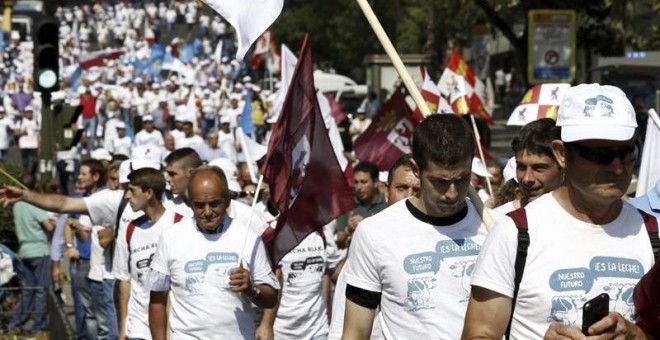 Varios centenares de ganaderos han finalizado hoy ante la sede del Ministerio de Agricultura, Alimentación y Medio Ambiente (Magrama) la 'Marcha blanca', un itinerario reivindicativo en el que piden soluciones para la crisis de precios del sector lácteo y