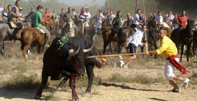 Toro de la Vega, en 2011./ EFE