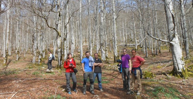 La investigadora aragonesa Edurne Martínez del Castillo, con varios miembros de su grupo de investigación, en uno de los bosques monitorizados para el estudio.