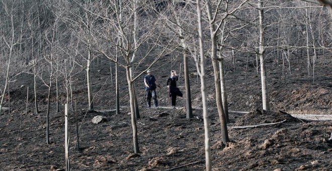 Los servicios de emergencia dan por extinguidos todos los incendios en Cantabria. EFE