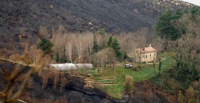 Vista de la zona afectada por el incendio en el monte Igeldo, en San Sebastian. EFE/Gorka Estrada