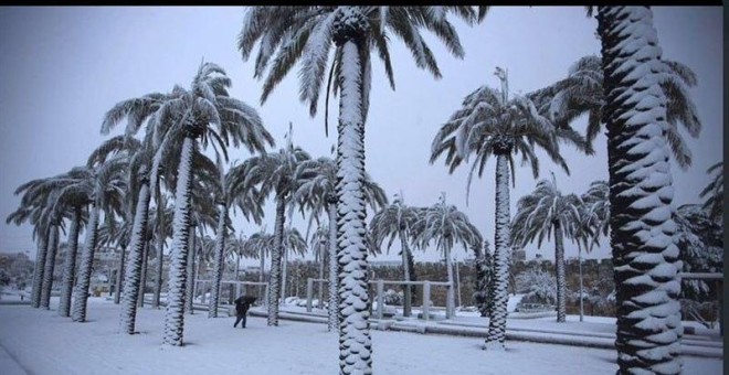 Arabia Saudí registra su primera nevada en 85 años. EP