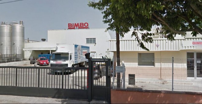 Planta Bimbo Palma de Mallorca