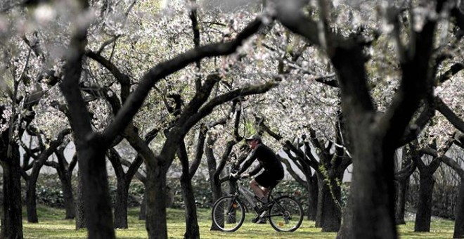 La primavera será más cálida de lo normal, tras el segundo invierno más caluroso en 55 años./REUTERS